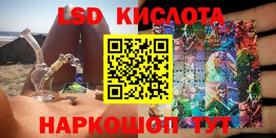ECSTASY Новозыбков
