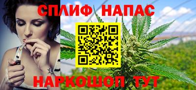 ECSTASY Новозыбков