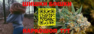 ECSTASY Новозыбков