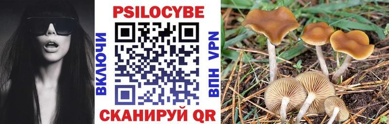 блэк спрут вход Рязань Галлюциногенные грибы прущие грибы