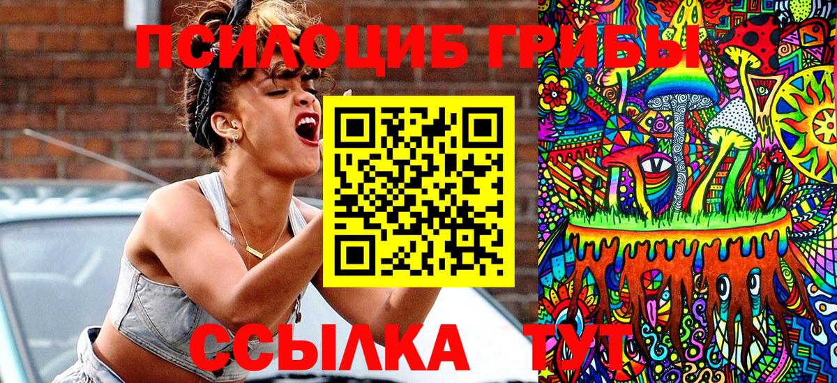 Рязань  Псилоцибиновые грибы ЛСД  Вход с VPN  Псилоцибиновые грибы GOLDEN TEACHER 