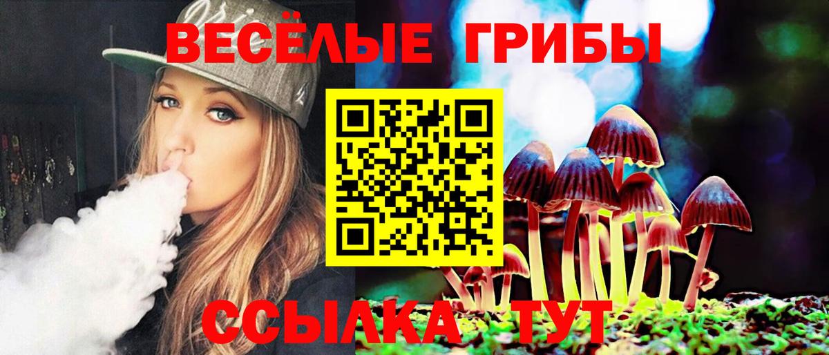 Псилоцибиновые грибы прущие грибы Рязань